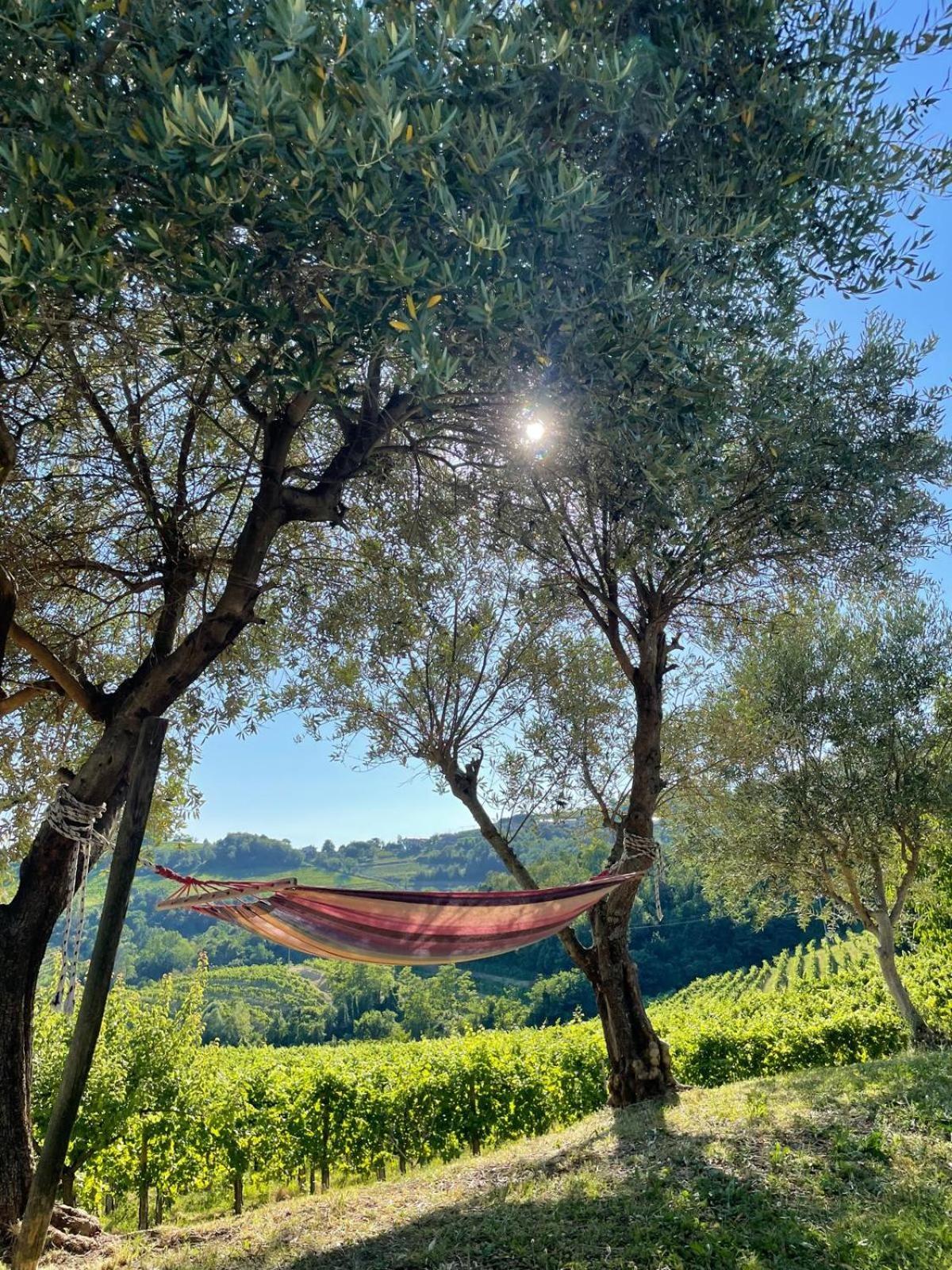 Casaroman San Floriano del Collio ภายนอก รูปภาพ